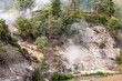 landscape with steamed air coming from volcanic hot springs and fumaroles