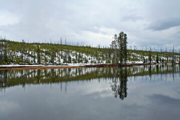 Wall Mural - Lewis River in Yellowstone