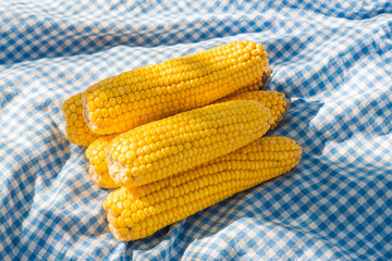 Wall Mural - bright yellow corn over cozy blue blanket top view. Autumn still life. time to harvest. organic farm maiz