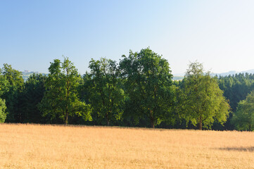 panoramic vie of a landscape in the lower austrian region mostviertel