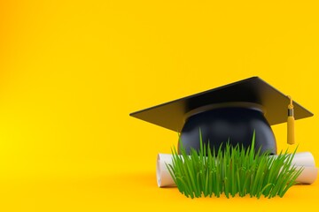 Wall Mural - Mortarboard on grass