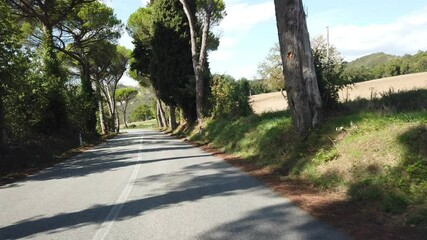 Sticker - View of the road along the famous Val d'Orcia, Tuscany, Italy.