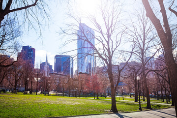 Wall Mural - Panorama of Boston Common, central public park in downtown, Massachusetts, USA