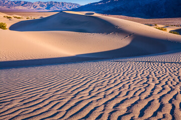 Poster - Easily accessible dunes