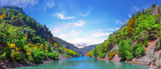 Wall Mural - hot day in green canyon with turquoise water