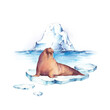 Watercolor illustrations with iceberg, ice floes and the walrus