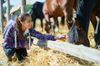 woman on countryside farm or ranch petting horse. Animals, friendship and hobby concept.