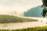 Fototapeta Natura - thick morning fog in the summer forest near the reservoir. fishermen on a boat