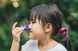 Smell sensory learning from flower. Cute Asian kid exploring natural environment through outdoor activity like play, touch and see the real things is the best method for education in children. 