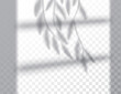 © MarySan - Shadow, overlay effects mock up, window or door frame and leaf of plants, natural light, vector illustration