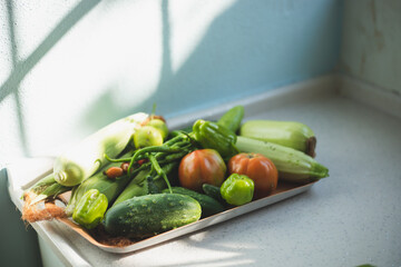 vegetables picked from the garden in a flat plate