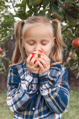 Apples Harvesting Kid. Little girl Eats Apple in  garden and closes her Eyes with Pleasure.