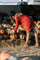 Wall Mural - Unrecognizable woman choosing ripe orange pumpkin on farmers market in brown cardigan and hat. Cozy autumn vibes Shopping before Halloween, Thanksgiving day