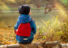 Child Sits On A Log By The Lake, Looking At Waterfowl Flying Up. The Season Is Autumn.