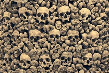 Wall Made Of Human Skull And Bones