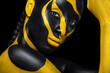 © Mike Orlov - Face art. Woman with black and yellow body paint. Young african girl with colorful bodypaint. An amazing model with yellow makeup. Closeup face.