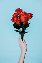 Woman Hand Holding A Fake Red Roses Bouquet