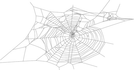 Wall Mural - isolated old black spider web illustration