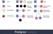 pedigree Analysis for family history of hereditary diseases tracing symbols used in genetic engineering vector illustration
