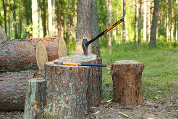 Wall Mural - old axe on the background of firewood