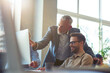 © Kostiantyn - Business people sitting at desk in the modern office, looking at PC screen and discussing project, confident mature man explaining something to his young male coworker