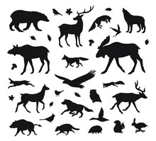 Vector Set Bundle Of Hand Drawn Wild Forest Animals Silhouette Isolated On White Background