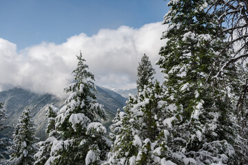 Wall Mural - Storm Castle Peak trail in Custer Gallatin National Forest, Montana. USA. Back to Nature concept.