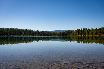 Wall Mural - Holland Lake and Falls trail in Flathead National Forest, Montana. USA. Back to Nature concept.