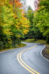 Wall Mural - Colorful yellow orange foliage in autumn fall season in Blackwater Falls State Park in West Virginia with paved asphalt curvy winding road driving point of view