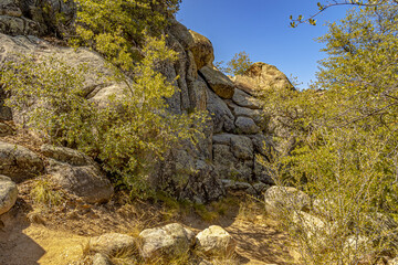 Wall Mural - An Arizona Desert Trail