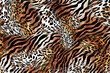 © TT3 Design - abstract animal skin print