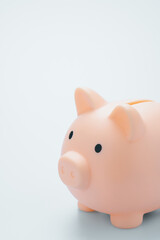 Pink piggy bank isolated on Light blue background. Soft focus