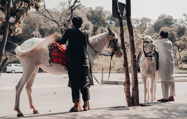 two horse men warming up horses in park in Pakistan