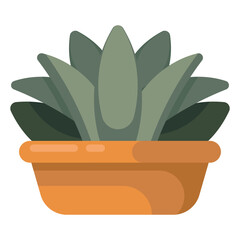 Wall Mural - Succulent Plant 