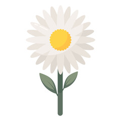 Sticker - Daisy 