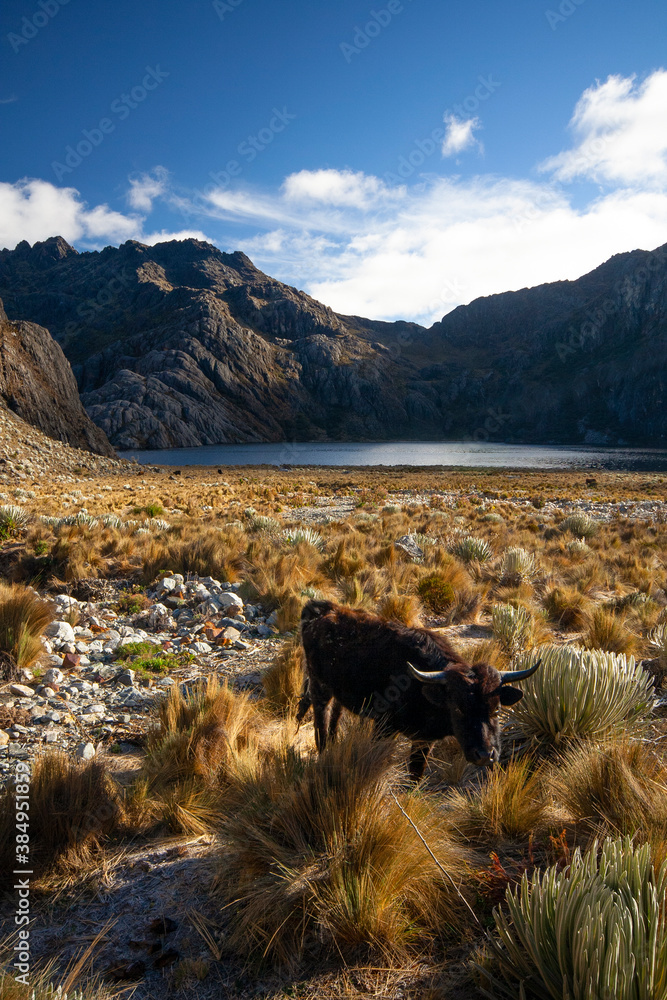 View of a valley in Sierra Nevada National Park, in the venezuelan