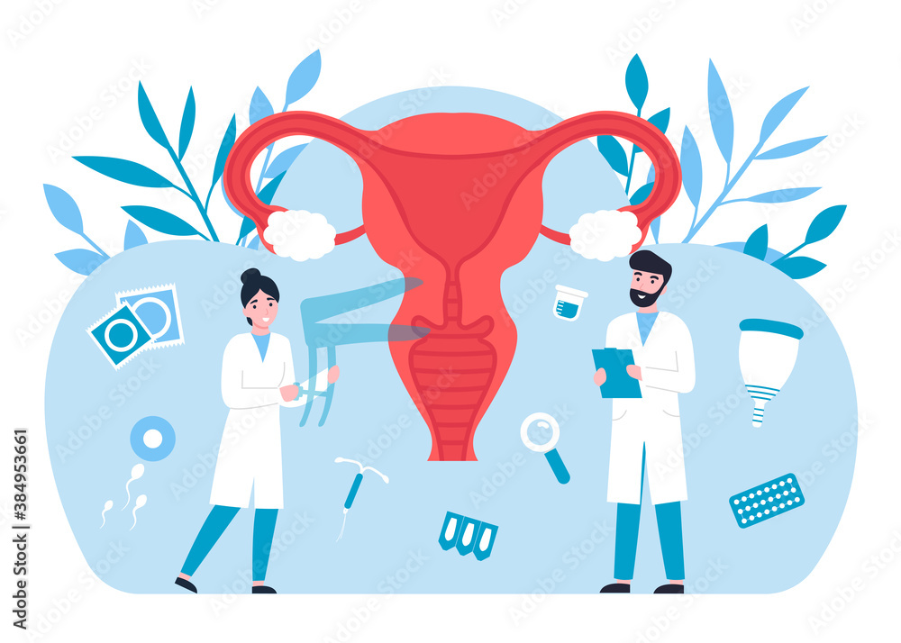 Gynecology concept, female reproductive system, doctors gynecologist ...