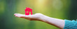 Leinwandbild Motiv Model of small red house in the human hand.
