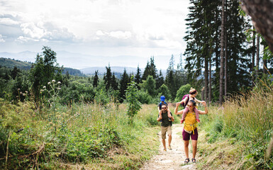 Wall Mural - family with small children hiking outdoors in summer nature.