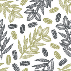 Wall Mural - Hand drawn pecan branch and kernels seamless pattern. Organic food vector illustration on white background. Vintage nut illustration. Engraved style botanical picture.