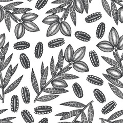 Wall Mural - Hand drawn pecan branch and kernels seamless pattern. Organic food vector illustration on white background. Vintage nut illustration. Engraved style botanical picture.