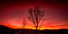 Red Sunset On A Burnt Landscape