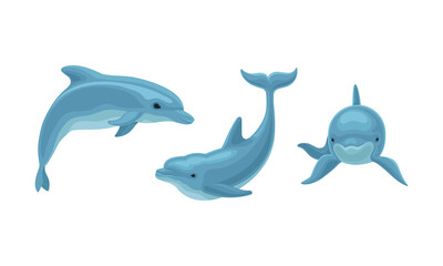 Wall Mural - Blue Dolphin as Aquatic Mammal with Streamlined Body and Flippers Vector Set