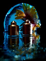 two nozzles on the background of a frozen flower in the dark in a creative macro photo