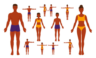 Human body anatomy. A man, a woman, a girl, a boy. Family in underwear, one arm raised, both arms spread out. A mannequin, dressmaker's model. A vector cartoon illustration.