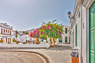 Wall Mural - Haria, Lanzarote, Canary Islands