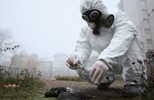 Man In Gas Mask And Protective Clothing Monitoring Abandoned Football Pitch In Emty City, Fog Around. Scientist Taking Dead Pigeon Feather Using Tweezers For Analysis And Putting In Test Tube.