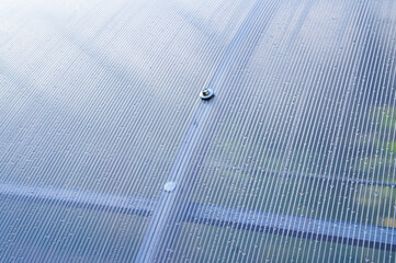 Wall Mural - Steel hex bolt on the wall of a polycarbonate plastic greenhouse close up