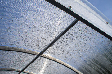 Wall Mural - Metal fasteners and ceilings in a polycarbonate greenhouse