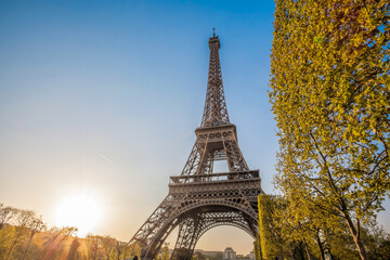Fototapete - Paris with Eiffel Tower against autumn leaves in France